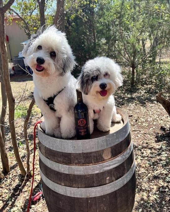 约翰逊城 12 Fires Luxury Glamping With Heating #5酒店 外观 照片
